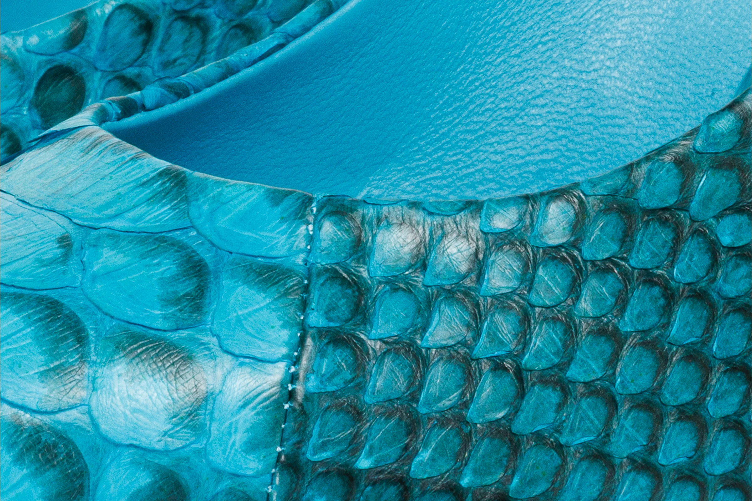 The Queenn Turquoise Pythn Leather Pump Women Shoe - Image 5