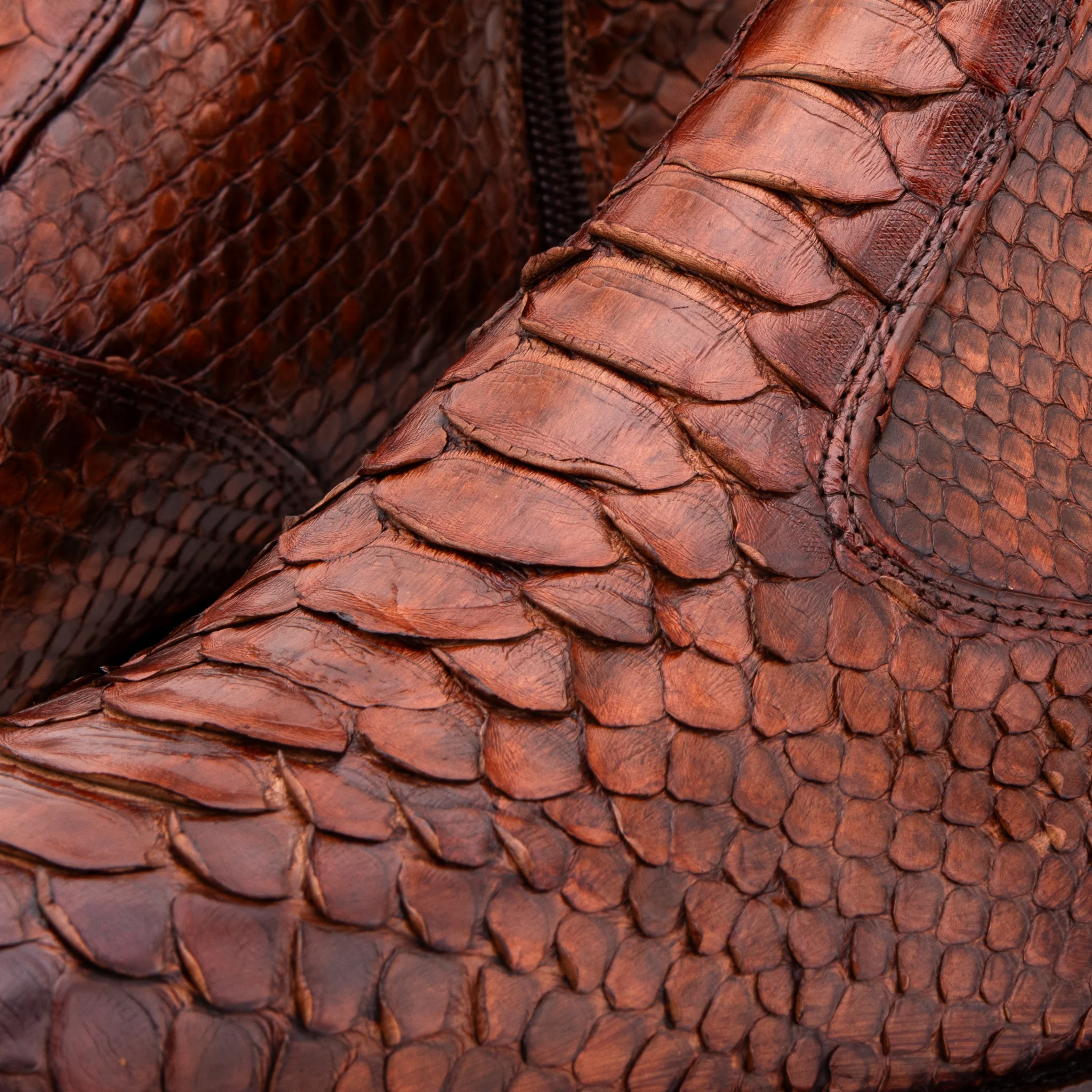 The Boss Tan Pythn Snk Zip-Up Leather Men Boot Limited Edition - Image 4
